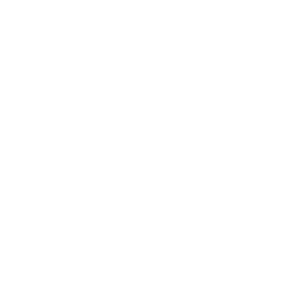 Pulsio